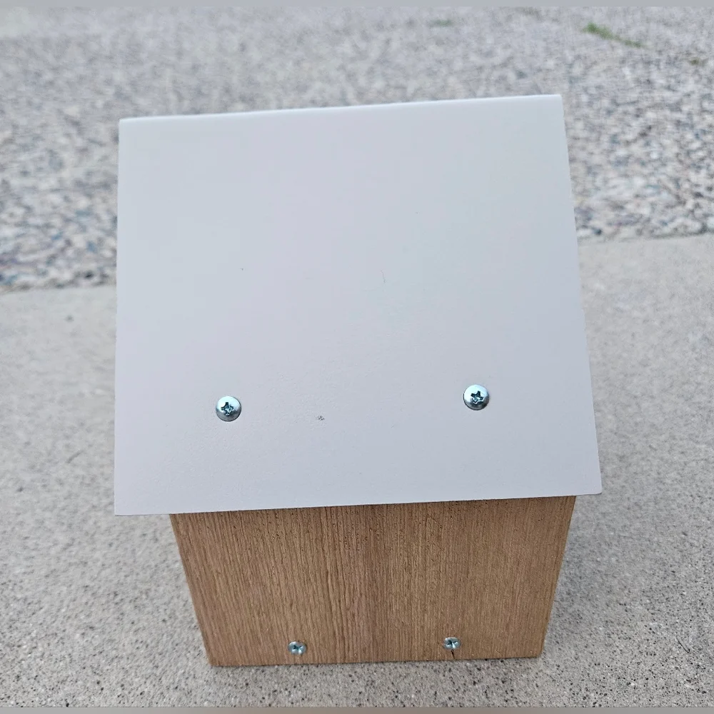 Window Bird House by Song Bird Essentials 6